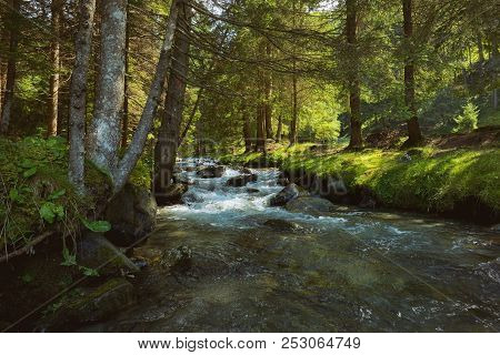 The Mountain River In The Romanian Forest