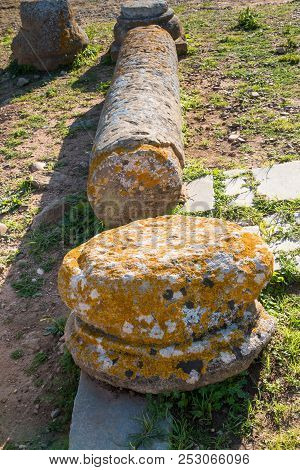 Ruins Of Necropolis Chellah In Rabat. Broken Stone Column. Grass Around. Sunny Day. Chellah, Rabat, 