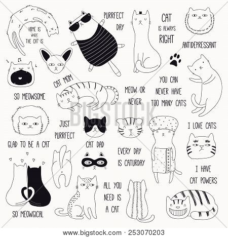 Set Of Cute Funny Black And White Doodles Of Different Cats And Quotes. Isolated Objects. Hand Drawn