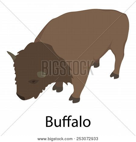 Buffalo Icon. Isometric Of Buffalo Icon For Web Design Isolated On White Background