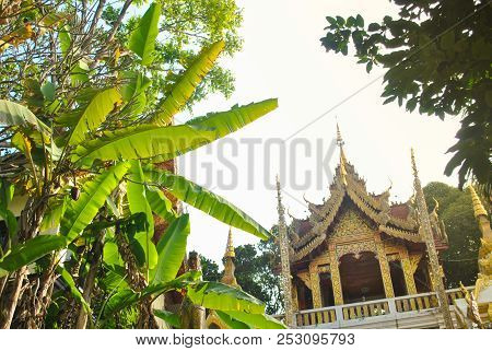 A Temple In The Northern Of Thailand In Tilt Angle With Banana Trees And Other Trees As A Foreground