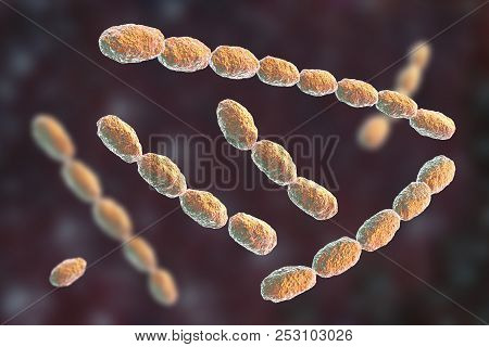 Haemophilus Ducreyi Bacteria, 3d Illustration. Gram-negative Coccobacillus, Which Causes The Sexuall