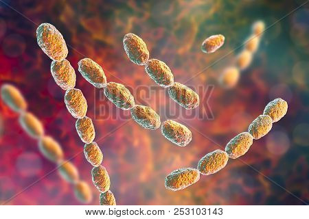 Haemophilus Ducreyi Bacteria, 3d Illustration. Gram-negative Coccobacillus, Which Causes The Sexuall