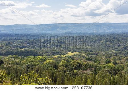 Green Landscapes In Kakamega Forest. Kenya, Africa