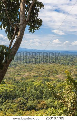 Landscapes In Kakamega Forest. Kenya, East Africa.