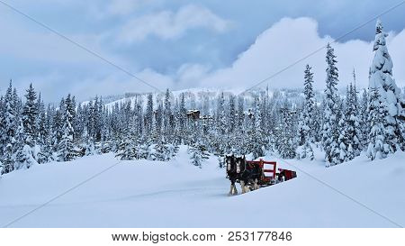 Horses Pulling Red Carriage In Winter Forest. Tourist Attraction In Big White.  Kelowna. Winter Fore