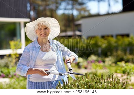 gardening, trimming and people concept - happy senior woman or gardener with hedge trimmer at summer garden