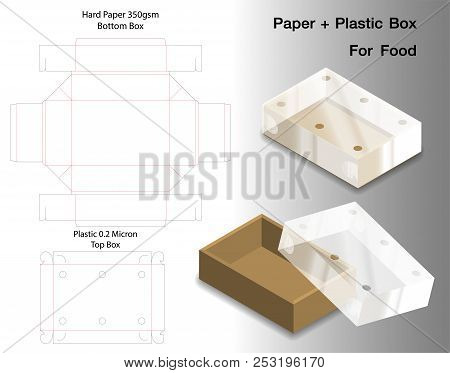 Box For Food With Plastic Window Die Cut Mock Up