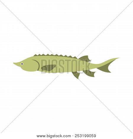 Stellate Icon In Flat Style Isolated On White Background. Sea Creatures Symbol