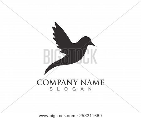 Vector - Vector Sign Abstract Bird In Flight