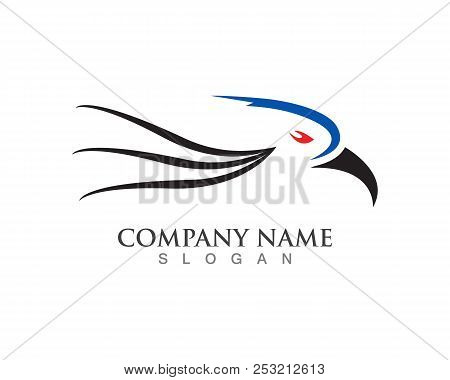 Head Eagle Logo And Eye Vector Blue And Black