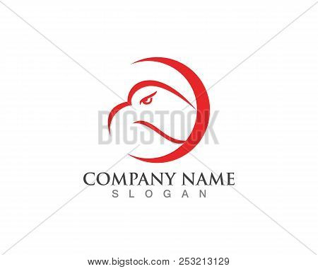 Head Eagle Logo And Eye Vector Blue And Black