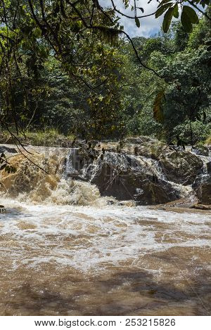 Small Rivers In The Jungles Of Kakamega Forest. Kenya, Africa