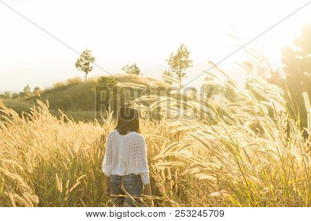 Outdoors Camping Grass Highlands Mountain In The Sunset.