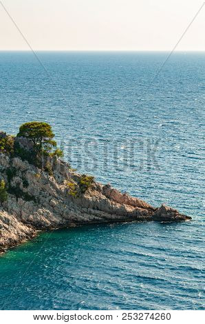 Remote Cap With Pine Trees And Visible Horizon In Adriatic Sea
