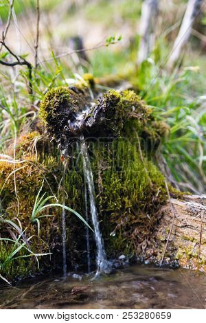 Small Stream Of Fresh Water Diverted To Supply Cattle With Water