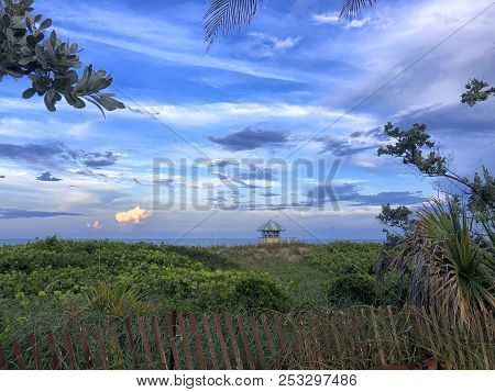 Sunset And Palm Trees At The Beach Overlooking The Dunes