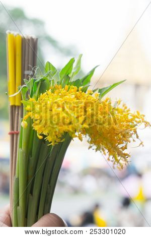 The Globba Schombugkii Flowers With Candle And Joss Stick Offering That Thai Buddhism Prepare For Of