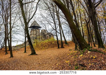 Medieval Fortress In Autumn Leafless Forest. Nevytsky Castle Is Popular Tourist Destination Of Trans