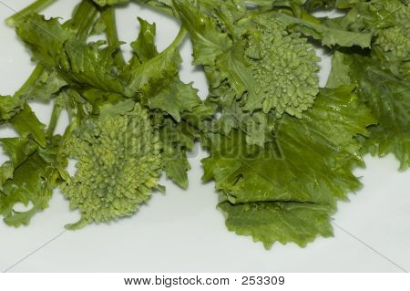 ครอบครัว Brocoli