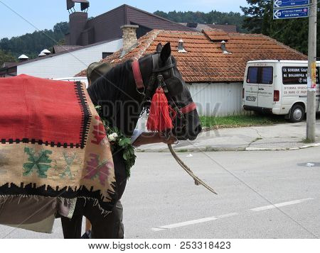 Guca, Serbia, August 11, 2018. 57th Trumpet Festival In Guca. Worldwide Known Music Festival In Serb
