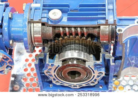 Cross Section Of Worm Gear Pump ; Selective Focus