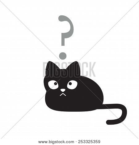 Black Cat In Confused State Of Mind And Upset, Dementia Concept