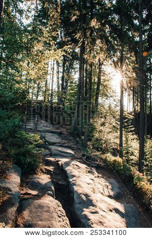 Bohemian Switzerland In The Morning. Sunny Without People