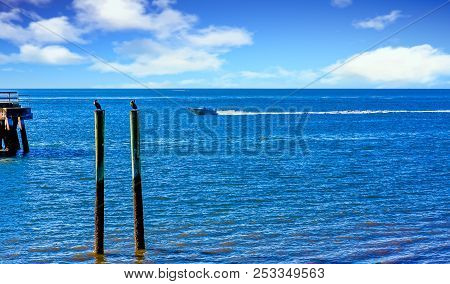 A Fishing Boat Speeding Past Seagulls On A Post
