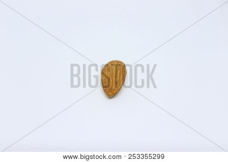 Natural Almond Kernel Is Isolated On White Background.