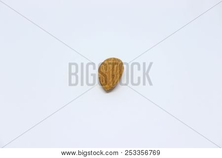 Natural Almond Kernel Is Isolated On White Background.