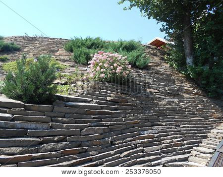 The Mounten In Rocks And Flowers And Blue Sky