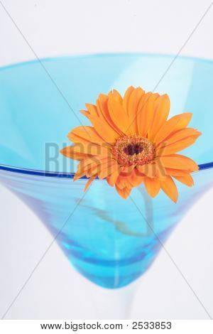 Blomma och glas