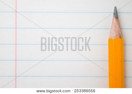 Back To School, Education Concept With Orange Pencils Close Up And Composition Book On Background Fo