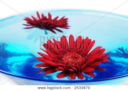 Blommor som flyter i vatten i glas
