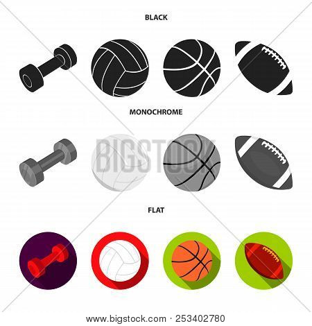 Blue Dumbbell, White Soccer Ball, Basketball, Rugby Ball. Sport Set Collection Icons In Cartoon , Fl