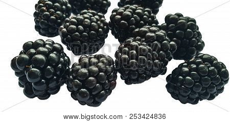 Isolated Blackberry. Closeup Shot Of One Fresh Blackberry On White Background.