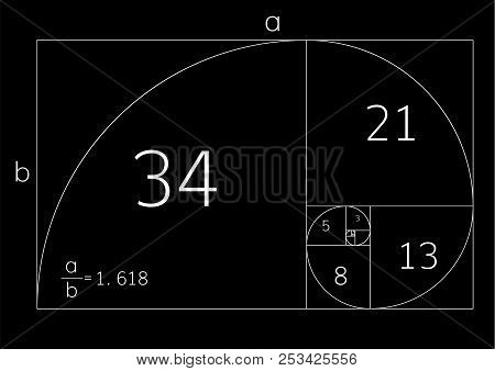 Golden Ratio Proportion , Symmetry Concept  . Golden Section