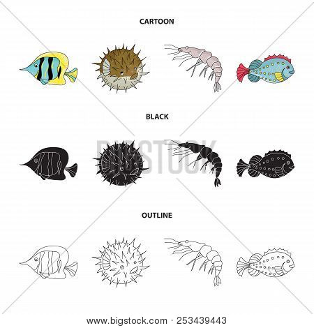 Shrimp, Fish, Hedgehog And Other Species.sea Animals Set Collection Icons In Cartoon, Black, Outline