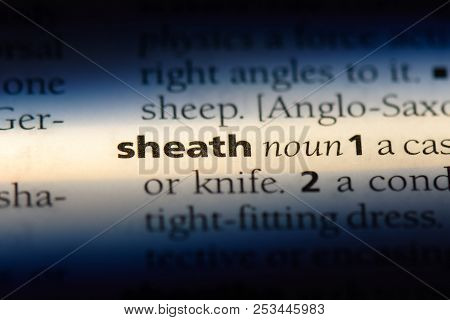 Sheath Word In A Dictionary. Sheath Concept.