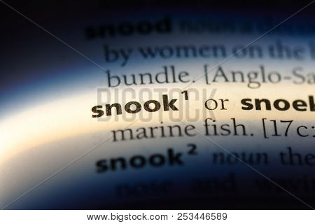 Snook Word In A Dictionary. Snook Concept.