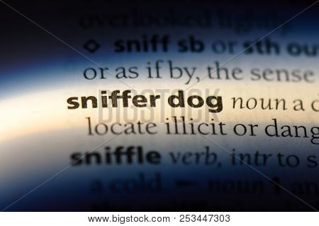 Sniffer Dog Word In A Dictionary. Sniffer Dog Concept.