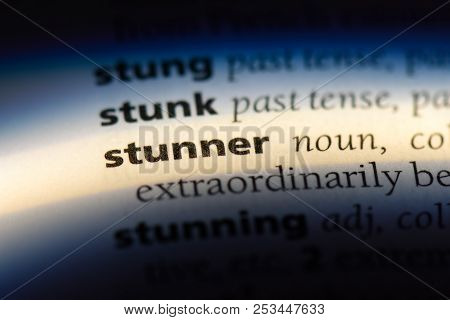 Stunner Word In A Dictionary. Stunner Concept.