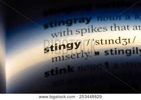 Stingy Word In A Dictionary. Stingy Concept.