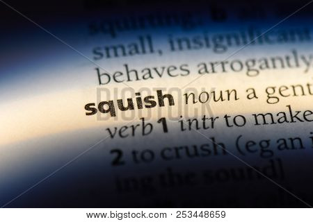 Squish Word In A Dictionary. Squish Concept.