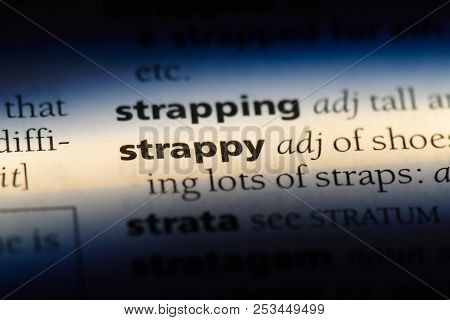Strappy Word In A Dictionary. Strappy Concept.