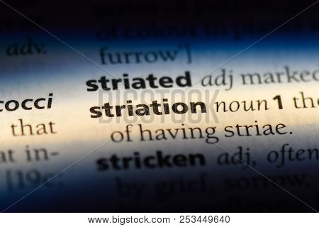 Striation Word In A Dictionary. Striation Concept.