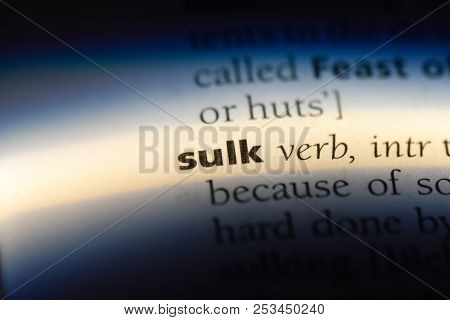 Sulk Word In A Dictionary. Sulk Concept.