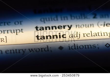 Tannic Word In A Dictionary. Tannic Concept.