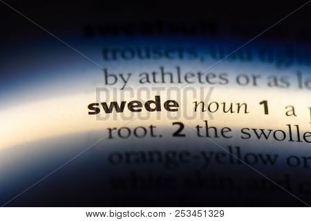 Swede Word In A Dictionary. Swede Concept.